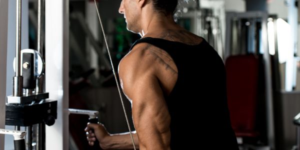 Utjecaj na izvedbu i rast mišića